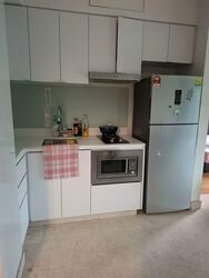 Eight Riversuites (D12), Condominium #590870201